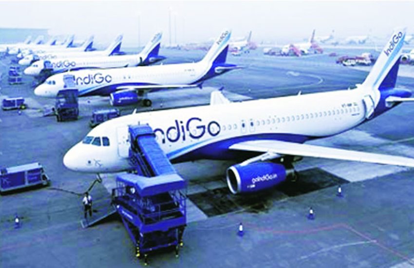 indigo