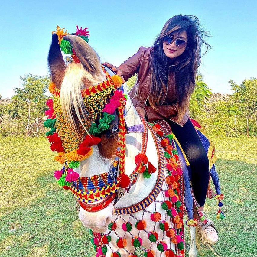 दरअसल हुआ ये था कि उनके एक टिकटॉक वीडियो में साथी ने भरवाड़ समाज को लेकर कुछ आपत्तिजनक टिप्पणी कर दी थी।