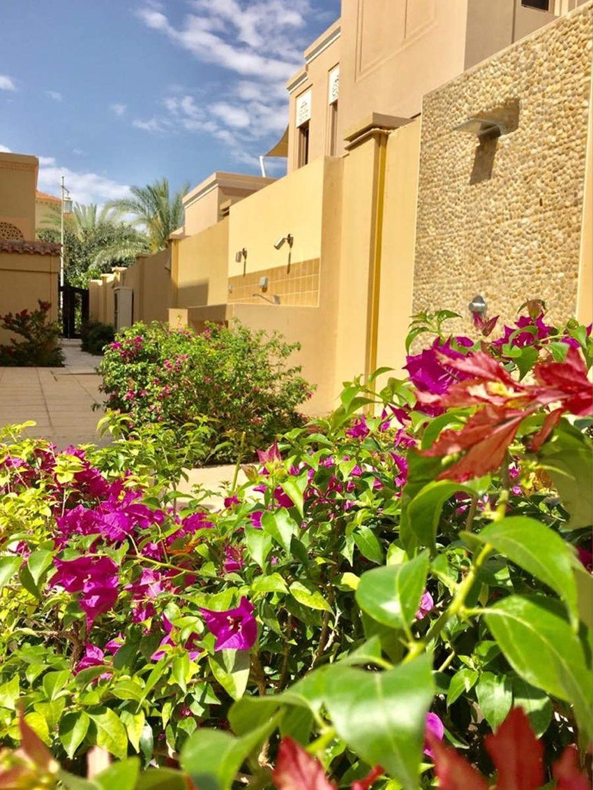 केआरके एक्टर बनने घर से भाग कर मुंबई आए थे। यहां पर उन्होंने 2005 में आई 'सितम' से बतौर प्रोड्यूसर करियर शुरू किय। इसके बाद वह कम बजट की कई भोजपुरी और हिंदी फिल्मों में भी नजर आए।