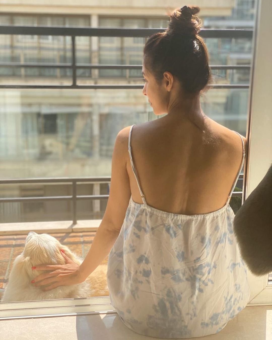 Entertainment News,Bollywood News,Hindi Movies News,Twitter,Maharashtra government,coronavirus,amitabh bachchan, Dilip kumar, coronavirus, saira bano, dilip kumar in isolation, dilip kumar health update, dilip kumar in isolation for coronavirus, saira bano taking care of dilip kumar, dilip kumar age, dilip kumar films, dilip kumar over coronavirus, दिलीप कुमार, कोरोनावायरस,alia bhatt corona, malaika arora quarantine, arjun kapoor quarantine, self quarantine, bollywood celebs selebs, anup jalota quarantine, self quarantine, coronavirus, coronavirus latest news, coronavirus news, coronavirus in delhi, coronavirus india, coronavirus in kerala, coronavirus in pune, coronavirus in delhi news, coronavirus live update, coronavirus news update, coronavirus prevention, coronavirus infection, coronavirus in india, coronavirus in india news, coronavirus death toll, coronavirus death toll news, coronavirus death toll in india, coronavirus death toll in india, coronavirus in india latest news