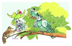 रविवारी कहानी: नहीं बनाना नया घोंसला