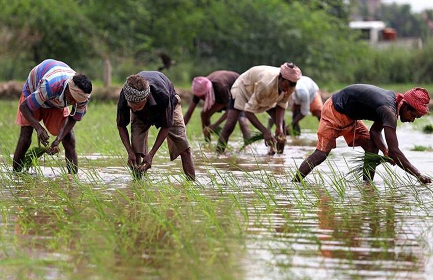 pm kisan yojna
