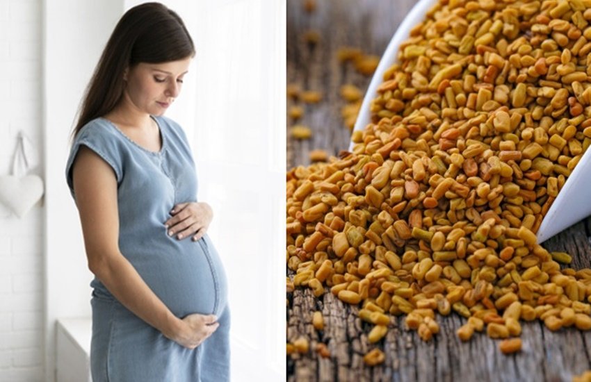 Fenugreek Seeds, Pregnancy, Weight Loss, Weight Loss tips, Fenugreek Seeds For Weight Loss, weight loss diet, weight loss diet plan, weight loss quotes, weight loss hindi, weight loss foods, weight loss exercise, fenugreek for weight loss, fenugreek seeds weight loss