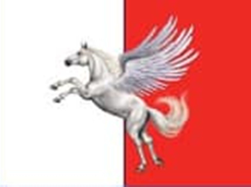 पुष्पम प्रिया चौधरी ने प्लूरल्स नाम से अपनी पार्टी बनाई है। उन्होंने पार्टी का सिंबल रखा है- पंखों वाला घोड़ा। पार्टी प्रेसिडेंट वह खुद हैं।