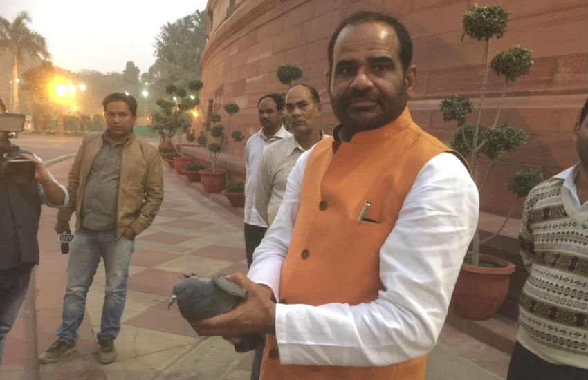 भाजपा सांसद रमेश बिधूड़ी। (फाइल)