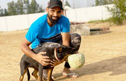 मोहम्मद शमी ने डॉगी संग शेयर की तस्वीर, फैंस ने स्टार गेंदबाज को बता दिया गद्दार; देखें VIDEO