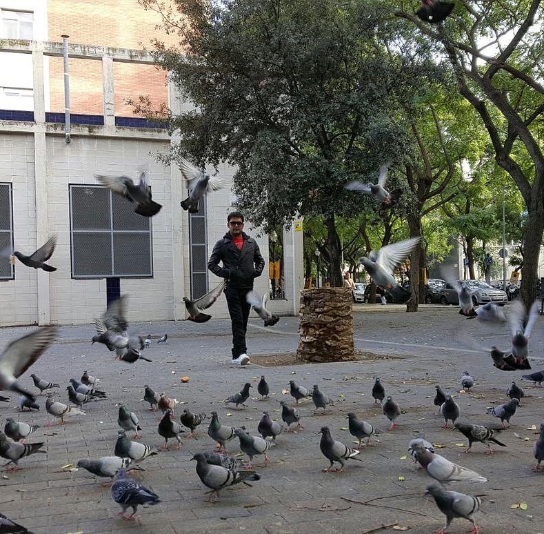 Kapil Sharma Birthday special, kapil sharma birthday date, Kapil Sharma girlfirend, Kapil Sharma Net Worth, Kapil sharma Family, kapil sharma wife, Kapil Sharma Biography, Kapil Sharma Age, kapil sharma birthday, kapil sharma birthday special, 5 jokes of kapil that prove he is undisputed comedy king, kapil sharma jokes, kapil sharma undisputed comedy king, kapil sharma comedy king, kapil sharma comedy, the kapil sharma show, comedy nights with kapil