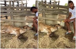 स्‍टार फुटबॉलर का आरोप- लॉकडाउन में नशेड़‍ियों ने क‍िया मेरी गैया का रेप