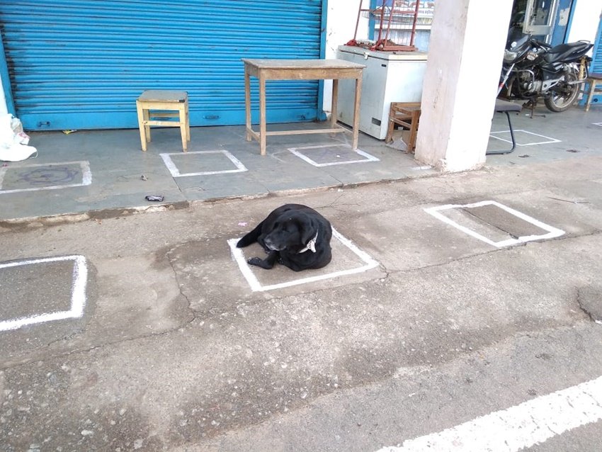 सोशल डिस्टेंसिंग के लिए दुकानों के बाहर निशान बनाए गए हैं ताकि लोग उन्हें फॉलो कर उचित दूरी बनाए रखें।