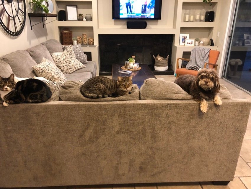 सभी तस्वीरें सोशल मीडिया से ली गई हैं। <a href="https://www.jansatta.com/photos/picture-gallery/ramayan-jamwant-rajshekhar-upadhyay-now-and-his-lockdown-period/1374246/  “>Ramayan के ‘जामवंत’ अब दिखते हैं ऐसे, यूपी के गांव में लाॉकडाउन में फंसे हुए हैं राजशेखर