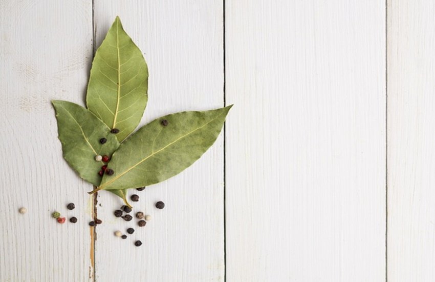 Weight Loss, Weight Loss Tips, Belly Fat, Fat Burn, Bay leaves drink for weight loss, weight loss tips in hindi, weight loss tips at home in hindi, weight loss diet, weight loss tips in hindi, weight loss exercise, weight loss diet plan, weight loss drinks, weight loss foods