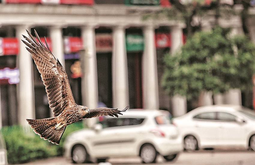 कोरोना बाद की दुनिया में कुदरत के कसीदे पढ़ता मानव भी तो कुदरत का ही एक रूप है।
