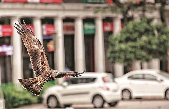 बेबाक बोलः संक्रमण काल