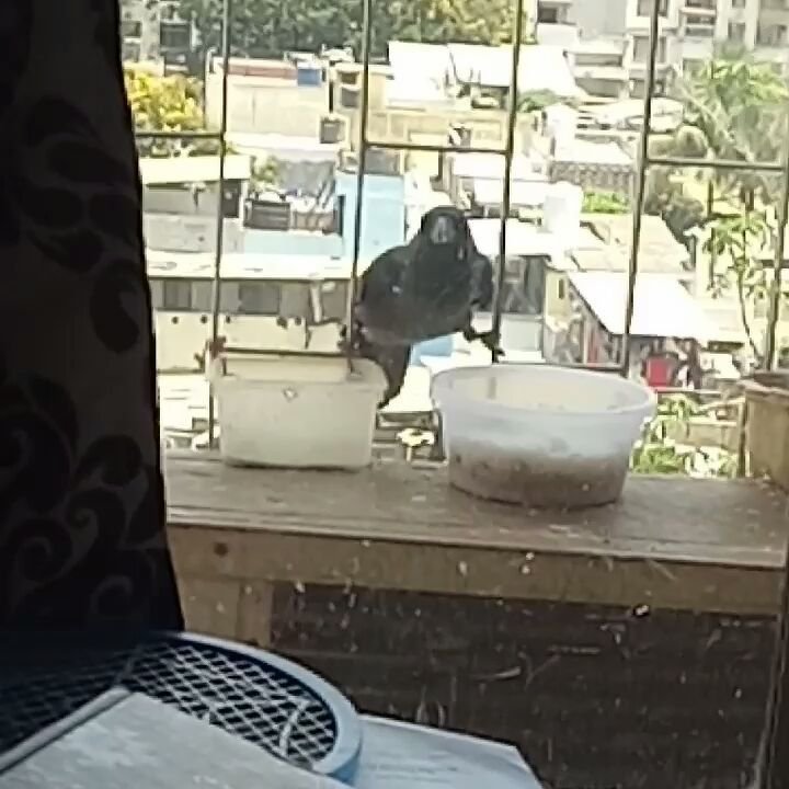 jaya bhattacharya, jaya bhattacharya balled, jaya bhattacharya age, jaya bhattacharya show, jaya bhattacharya serials, jaya bhattacharya videos, jaya bhattacharya hair, jaya bhattacharya movie, jaya bhattacharya husband, Jaya Bhattacharya, Jaya Bhattacharya shaves head, Actor Jaya shaves head, Kyuki Saas Bhi Kabhu Bahu Thi actor, Devdas