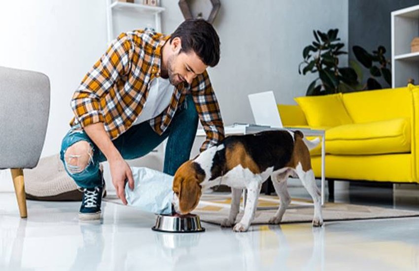 coronavirus, coronavirus pandemic, coronavirus outbreak, coronavirus in pet animals, coronavirus in dogs, coronavirus in cats, coronavirus through pet animals, coronavirus through animals, coronavirus facts, coronavirus rumours, coronavirus fear, coronavirus impact, coronavirus india, coronavirus italy, coronavirus america, coronavirus hotspot, coronavirus patients, coronavirus newyork, coronavirus positive tiger, coronavirus in human being, coronavirus in animals, indian government on coronavirus, coronavirus world, coronavirus china, coronavirus symptoms, coronavirus lockdown, coronavirus treatment, coronavirus medicine, coronavirus precautions, covid-19, who on coronavirus