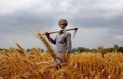 PM किसान मानधन: सालाना 36 हजार रुपये पेंशन चाहिए? करें ये काम