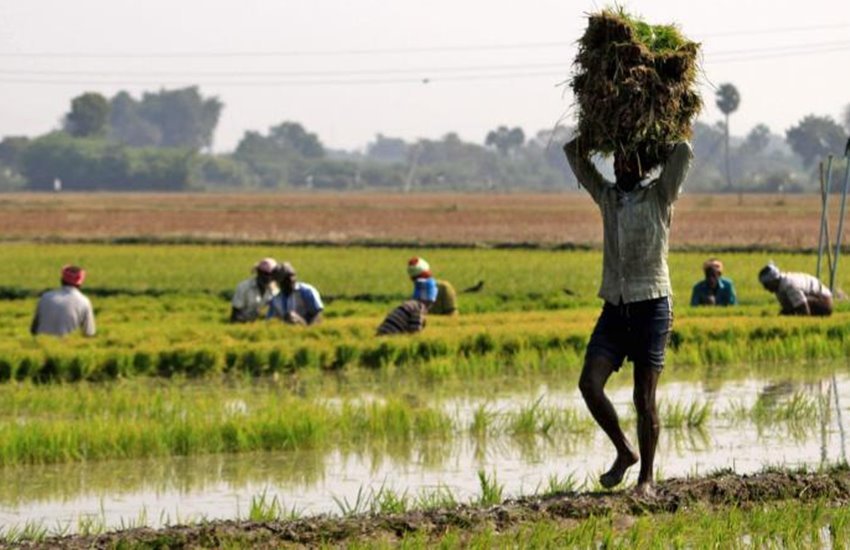fasal bima yojana fasal bima yojana