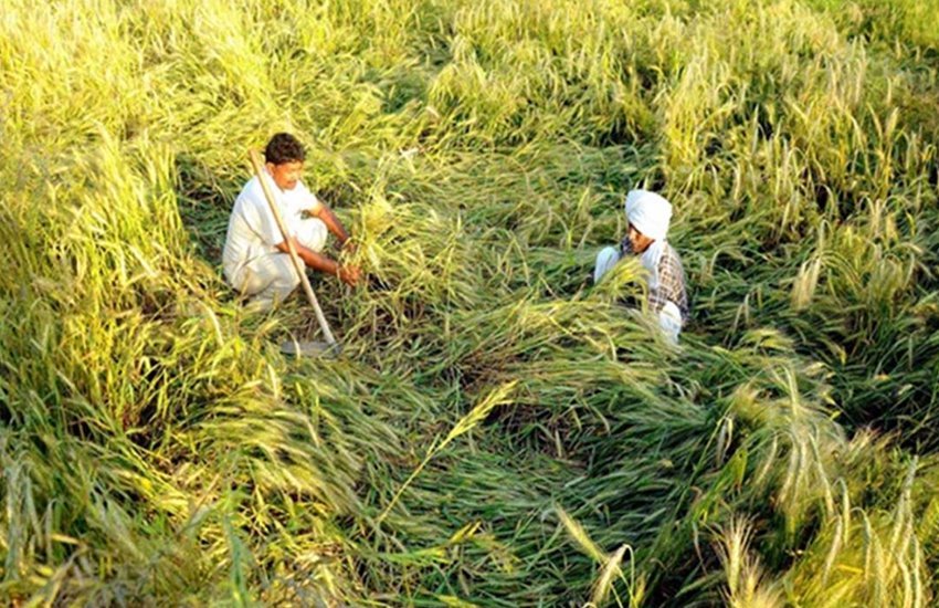fasal bima yojana