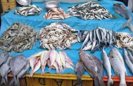 Bihar, Lock Down, Fish Market