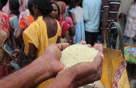 food securiy