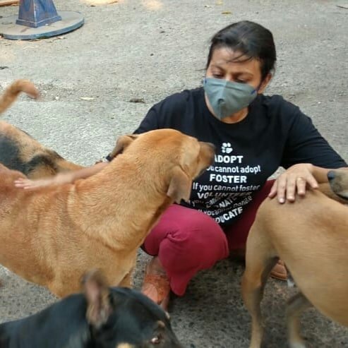 jaya bhattacharya, jaya bhattacharya balled, jaya bhattacharya age, jaya bhattacharya show, jaya bhattacharya serials, jaya bhattacharya videos, jaya bhattacharya hair, jaya bhattacharya movie, jaya bhattacharya husband, Jaya Bhattacharya, Jaya Bhattacharya shaves head, Actor Jaya shaves head, Kyuki Saas Bhi Kabhu Bahu Thi actor, Devdas