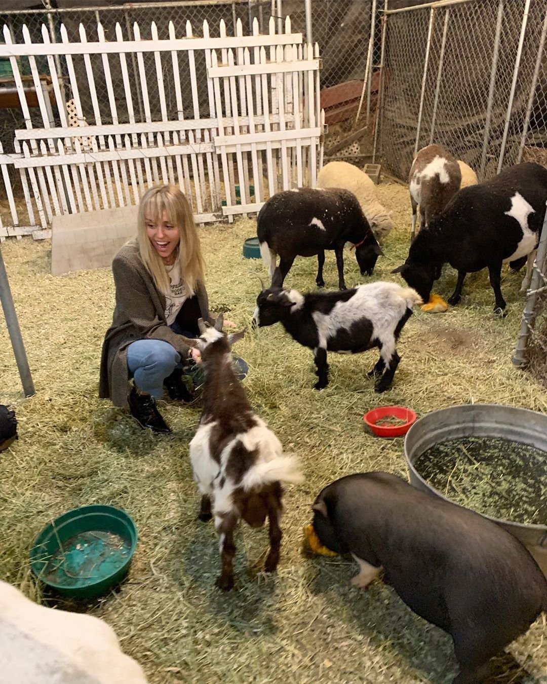 Hindu Religion, hindu dharma, julia roberts, russell brand, iskcon, robert downey jr shri yoga, hugh jackman, Adam Levine, bhagwat geeta, hollywood Gallery, jansatta entertainment news, photos, bollywood, hollywood, enteryainment