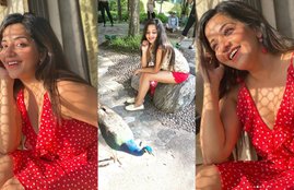 Monalisa, Monalisa instagram, Monalisa age, Monalisa husband, Monalisa movies, bhojpuri actress Monalisa, Monalisa hot, Monalisa bold photos, Monalisa photoshoot,Monalisa,lockdown,Instagram,Bhojpuri,antara biswas,actress