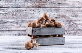 Coronavirus Lockdown, Coronavirus, Vitamin D, Vitamin D Foods, coronavirus india, coronavirus cases in india, coronavirus news, coronavirus update, coronavirus vaccine, coronavirus tips, coronavirus india update, coronavirus india cases, coronavirus india tracker, coronavirus india today