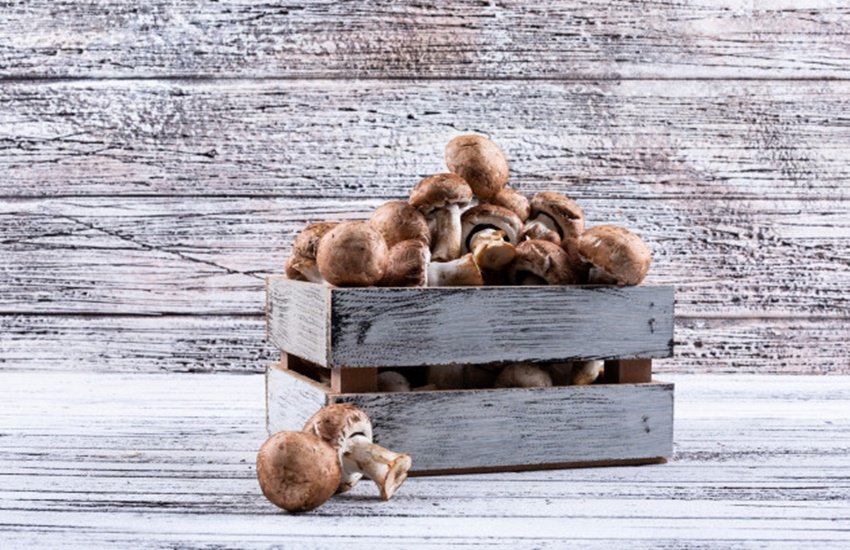 Coronavirus Lockdown, Coronavirus, Vitamin D, Vitamin D Foods, coronavirus india, coronavirus cases in india, coronavirus news, coronavirus update, coronavirus vaccine, coronavirus tips, coronavirus india update, coronavirus india cases, coronavirus india tracker, coronavirus india today Coronavirus Lockdown, Coronavirus, Vitamin D, Vitamin D Foods, coronavirus india, coronavirus cases in india, coronavirus news, coronavirus update, coronavirus vaccine, coronavirus tips, coronavirus india update, coronavirus india cases, coronavirus india tracker, coronavirus india today