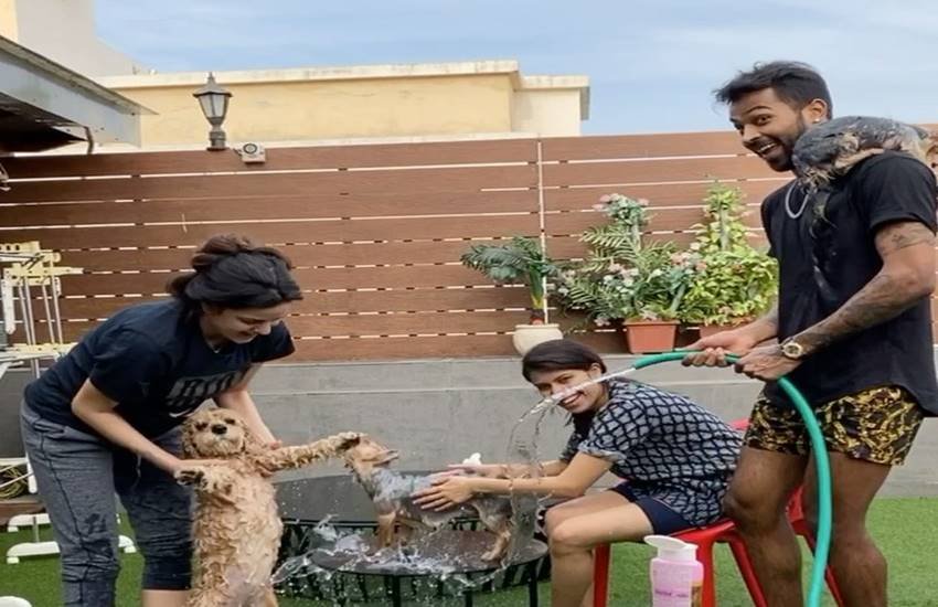 मंगेतर और भाभी संग कुत्तों को नहला रहे हार्दिक पांड्या 