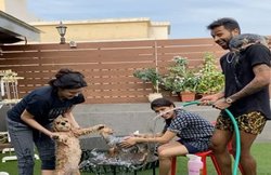 VIDEO: हार्दिक पांड्या के घर कुत्तों को नहला रहीं मंगेतर नताशा, लोग बोले- गरीब प्यासे मर रहे… आप बर्बादी कर रहीं