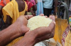 पीएम गरीब कल्याण योजना: जानें- कैसे कर सकते हैं आवेदन, कैश से सिलेंडर तक का मिल रहा फायदा