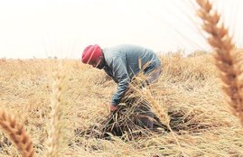 pm kisan samman nidhi