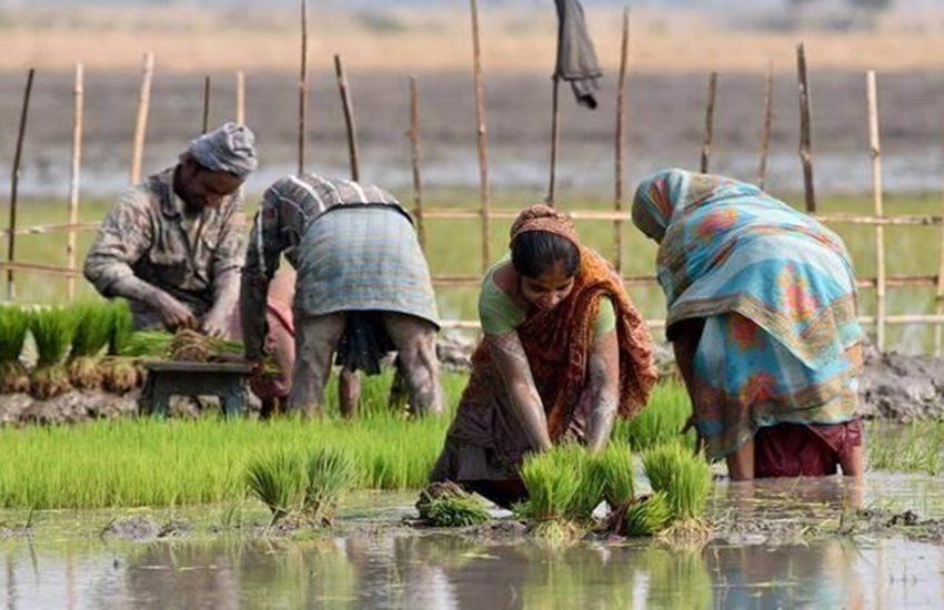 pm kisan yojana