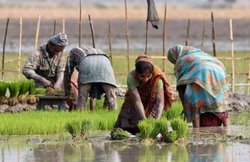 पीएम किसान सम्मान निधि योजना के तहत गांव में किसे मिला फायदा और किसे नहीं, यूं आसानी से जान सकते हैं आप