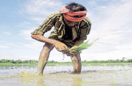 pm kisan yojana