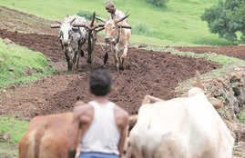 pm kisan yojana