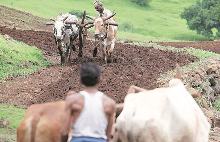 pm kisan yojana
