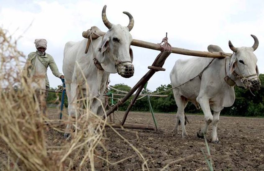 pm kisan yojana
