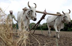 पीएम किसान सम्मान निधि योजना: खेती न करने वाले लोग भी ले सकते हैं फायदा, जानें- क्या है नियम