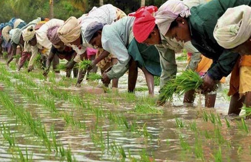 pm kisan