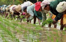 PM Kisan Yojana की नई लिस्ट जारी, जानें 6000 रु सालाना पाने वालों में आपका नाम आया या नहीं