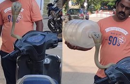 Cobra Snake Rescued From Honda Activa, Snake in Honda Activa Video, Honda Activa and Snake Video, Cobra Snake Video, Amazing Snake Video, Snake Rescue Video