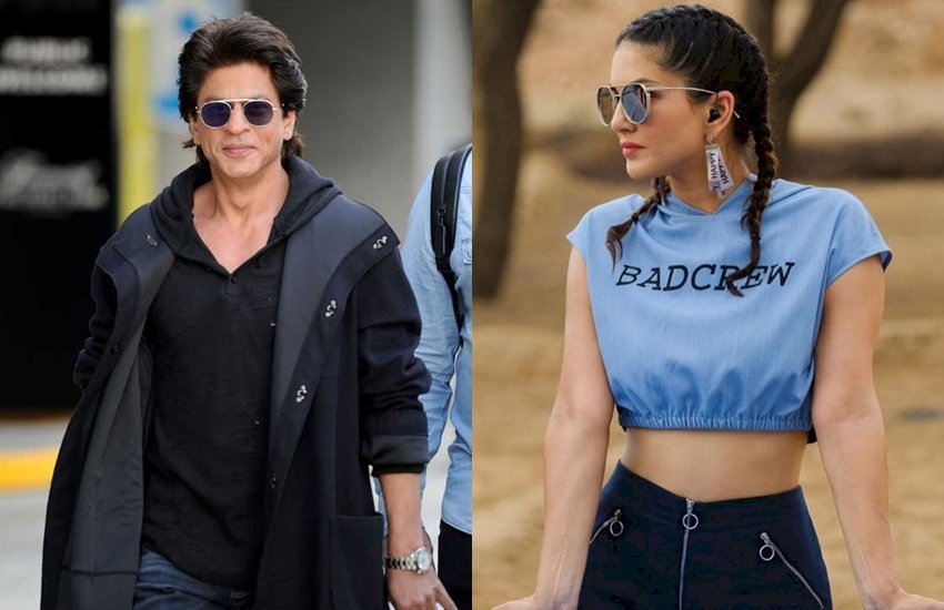 इंसानी फितरत ऐसी है कि उसके अंदर कोई ना कोई आदत ऐसी होती है जो सामने वाले को अजीब लगती है। ऐसी अजीब आदतें आम से लेकर खास तक करीब सबमें होती हैं। इस फेहरिस्त में बॉलीवुड सेलेब्स भी शामिल हैं। बहुत से बॉलीवुड सेलेब्स ऐसे हैं जिनकी अजीब आदतें काफी चर्चा में रहीं। अजीब आदतों वाले स्टार्स में शाहरुख खान से सनी लियोनी तक के नाम शामिल हैं।