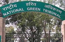 NGT, Vizag Gas Leak, LG Polymers