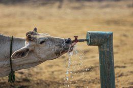 Weather News, Weather in North India, North India, Hot, Monsoon, IMD, Red Alert, J&K, Punjab, Haryana, UP, Uttrakhand, Bihar, Rajasthan, Madhya Pradesh, National News