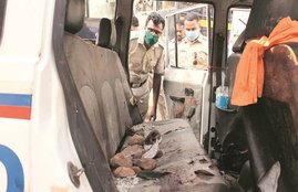 Palghar, Lynching, Lawyer, Accident, Twiiter, CBI Probe
