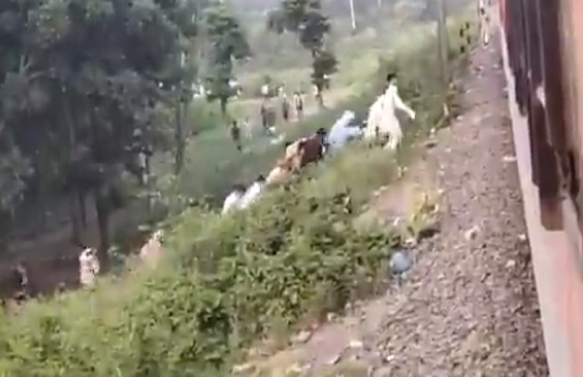 मिजोरम के मुख्यमंत्री जोरामथांगा ने शेयर किया वीडियो। (video screenshot)