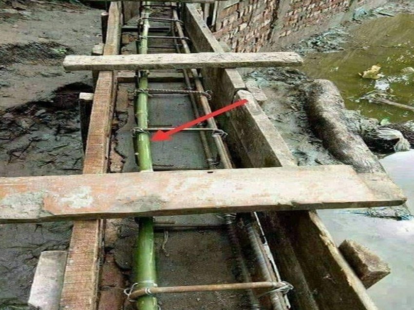 (सभी तस्वीरें: Facebook)