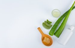 Hair Fall: एलोवेरा का इस्तेमाल बालों को झड़ने से रोकने में करता है मदद, जानिए इस्तेमाल करने का तरीका